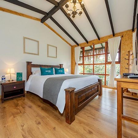 ריונגרו Ayenda Llanogrande Inn מראה חיצוני תמונה